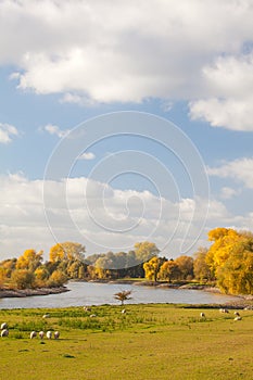 Autumn view of the Dutch river IJssel between Arnhem and Zutphen