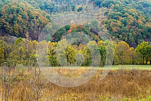 Autumn View of a Field in the Blue Ridge Mountains located in Virginia, USA.