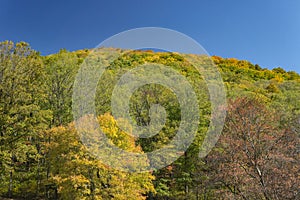 Autumn View of Flat Top Mountain