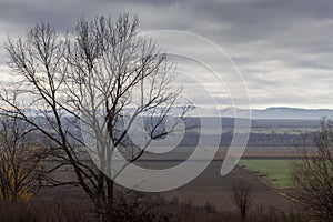 Autumn view with fog and clouds over the mountain. photo