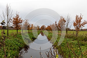 Reflections of the trees in the water in the National park Connecterra, Belgium