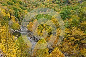 Autumn View of Goshen Pass