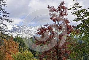 Jesenný pohľad na Vysoké Tatry z oblasti Štrbského Plesa na Slovensku