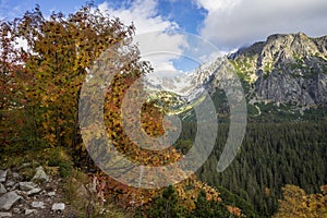 Podzimní pohled na Vysoké Tatry. Oblast Popradské Pleso. Slovensko