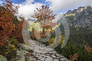 Podzimní pohled na Vysoké Tatry. Oblast Popradské Pleso. Slovensko