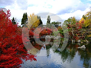 Autumn view of Hojo pond