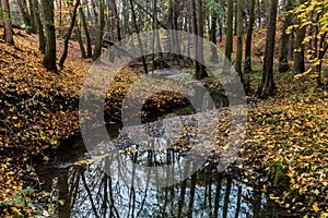 Autumn view of Kunraticky potok stream in Prague, Czech Republ