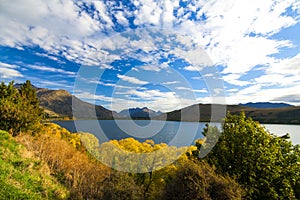 Autumn view of the lake Hayes, colourful tree leaves and dry hills of Otago region, New Zealand Arrowton near Queenstown