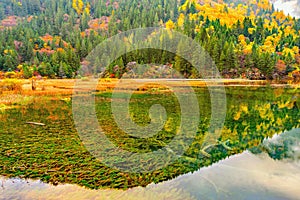 Autumn view of the lake with pure water.