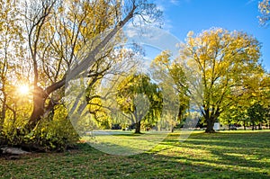 Autumn view of the lakeside in Lake Hayes,New Zealand.