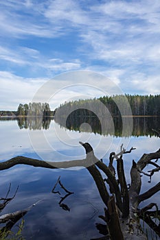 Autumn view of Liesjarvi National Park and Lake