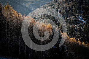 the autumn view in Moeciu de sus, Bucegi Mountains