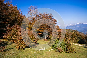 Autumn view of Monte Cucco park in Umbria, Italy