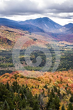 Autumn View of Mt. Colden in the Adirondacks