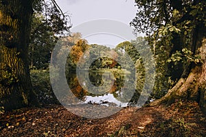 Autumn view over a small lake surrounded by trees.