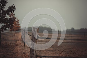 Autumn view of a pasture fence of empty willow