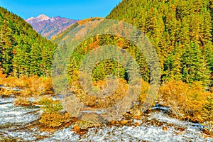 Autumn view of Pearl Shoals with pure water.