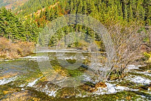 Autumn view of Pearl Shoals with pure water.