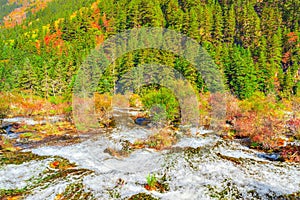 Autumn view of Pearl Shoals with pure water.