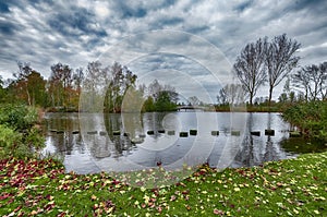 Autumn View of a pond, in a park with bare trees, and brown-red fallen leaves on the green grass, a cloudy blue sky.