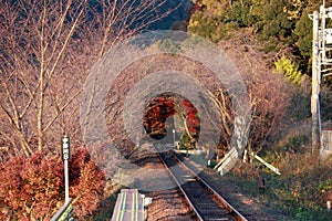 Autumn view of railroad tracks at Sagano Scenic Railway.