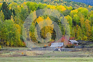 Autumn view of Russian village