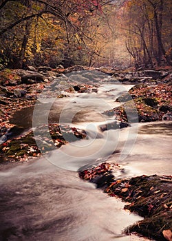 Autumn view from Smoky Mountain National Park