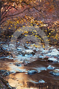 Autumn view from Smoky Mountain National Park