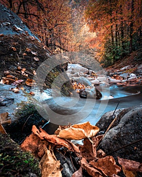 Autumn view from Smoky Mountain National Park