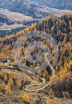 Autumn view, sunny day in the forested mountains, the road winds below