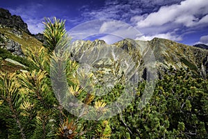 Autumn view of sunny mountains in High Tatras