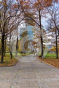 Autumn view of Swietokrzyski Park in Warsaw