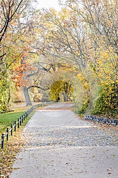 Autumn view of trail on the riverside