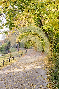 Autumn view of trail on the riverside
