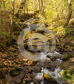 Autumn View of a Wild Mountain Stream