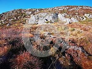 Autumn view of the wild nature in Scandinavia