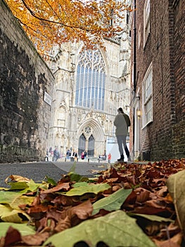 Autumn view of York Minster