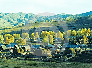 Autumn village Baihaba, xinjiang,china