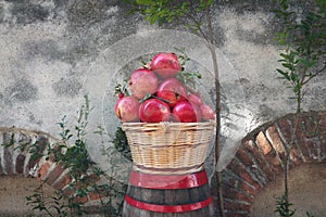 Autumn Village Pomegranate in a market basket