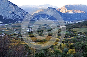 The Autumn vineyards of Trentino in Italy