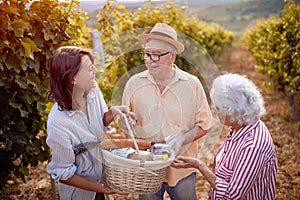Autumn vineyards. Wine and grapes. Family tradition. family with grape basket in the vineyard
