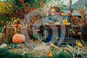 Autumn vintage decor with pumpkins