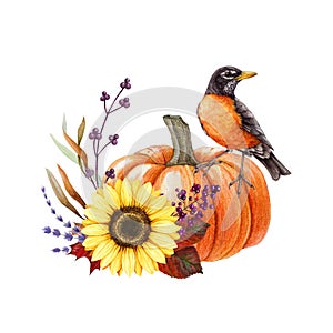 Autumn vintage style decor with pumpkin and american robin bird. Watercolor illustration. Pumpkin, leaves, berries
