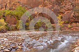 Autumn on the Virgin River Zion National Park Utah