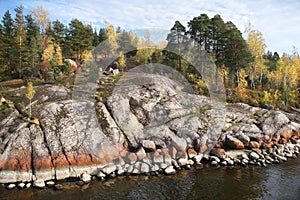 Autumn in Vyborg bay, aero view of clean nordic nature. Beautiful rocks and cliffs with woods in North Europe, Baltic sea, gulf of