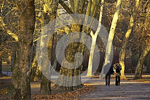 Autumn walk photo