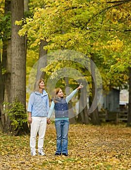 Autumn Walk