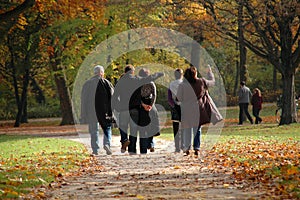 Autumn Walk