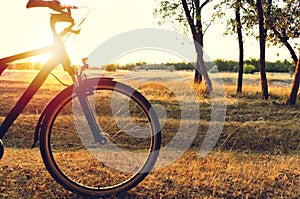 Autumn walk on a bicycle in the autumn forest. The sun shines through the bicycle.