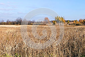 Autumn walk in the fields